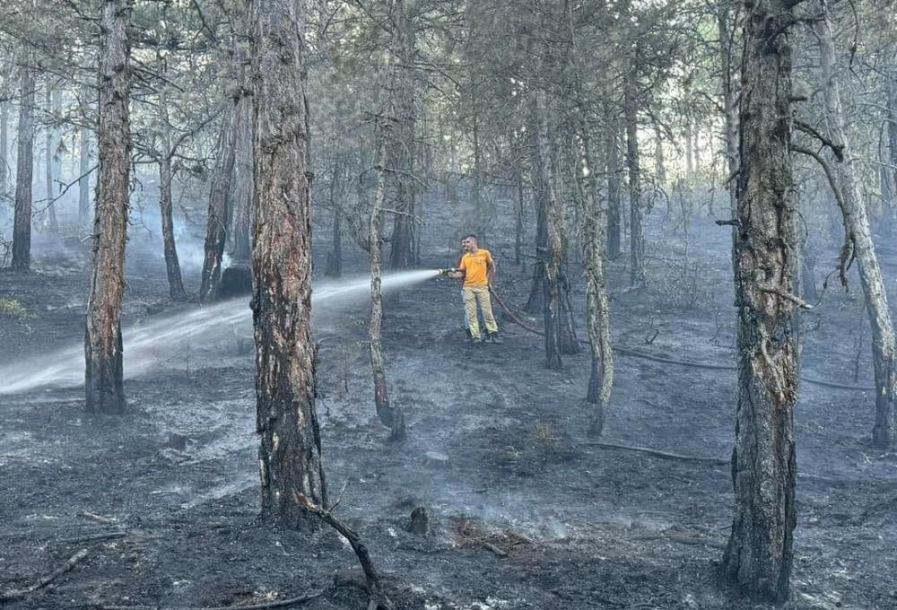 Bolu'da 2 Dönümlük Alan Kül Oldu