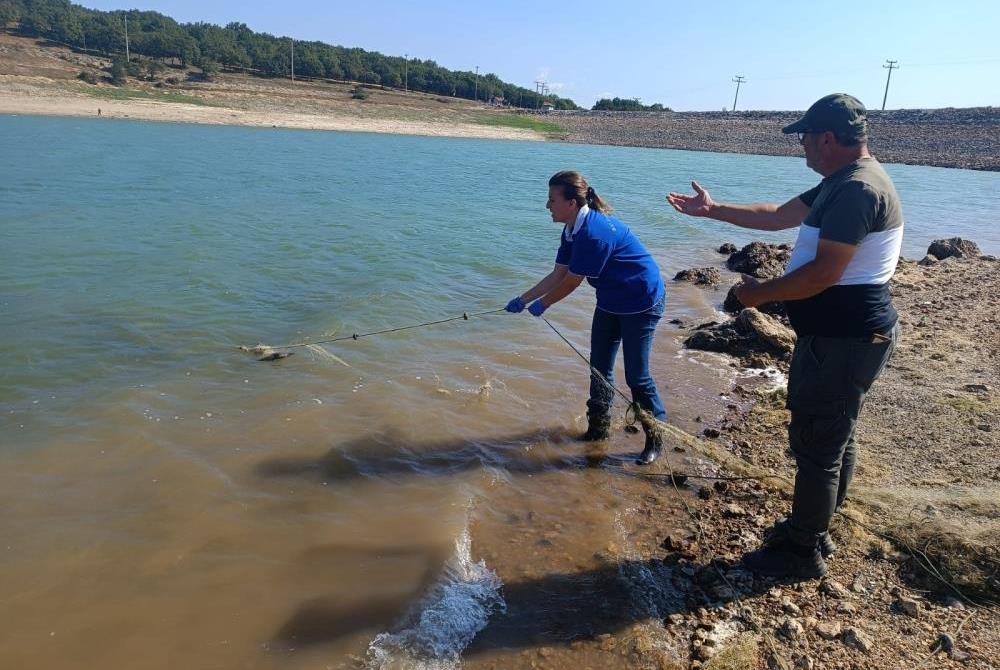 Bolu'da Kaçak Avcıların Bıraktığı Ağlar Toplandı