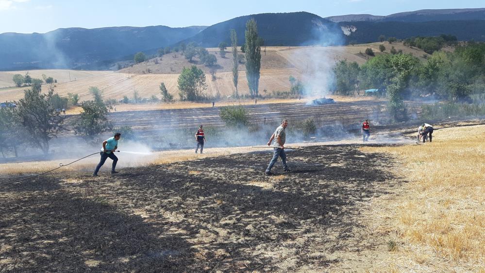 Bolu'da Köylülerin Erken Müdahalesi Alevlerin Önüne Geçti