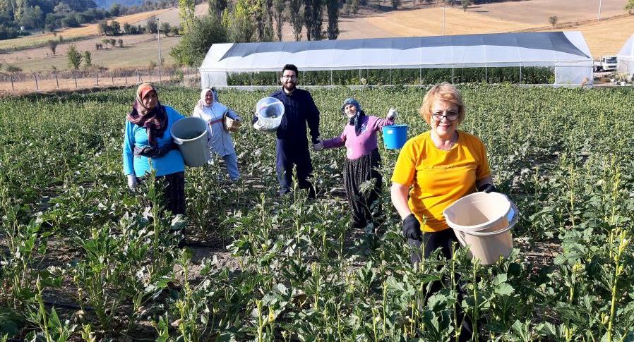 Bolu'da Pazarda 180, Kendin Toplarsan 80 Lira