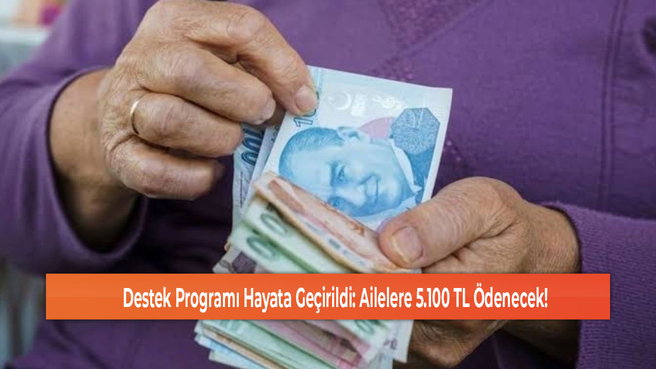 Destek Programı Hayata Geçirildi Ailelere 5.100 TL Ödenecek