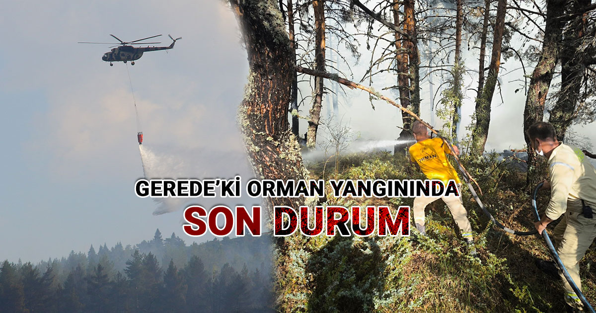 Gerede'deki Orman Yangınında Son Durum