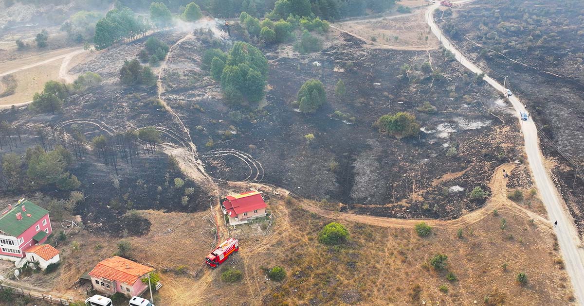 Gerede'nin Bir Köyü Daha Boşaltıldı Orman Yangını Sürüyor 5