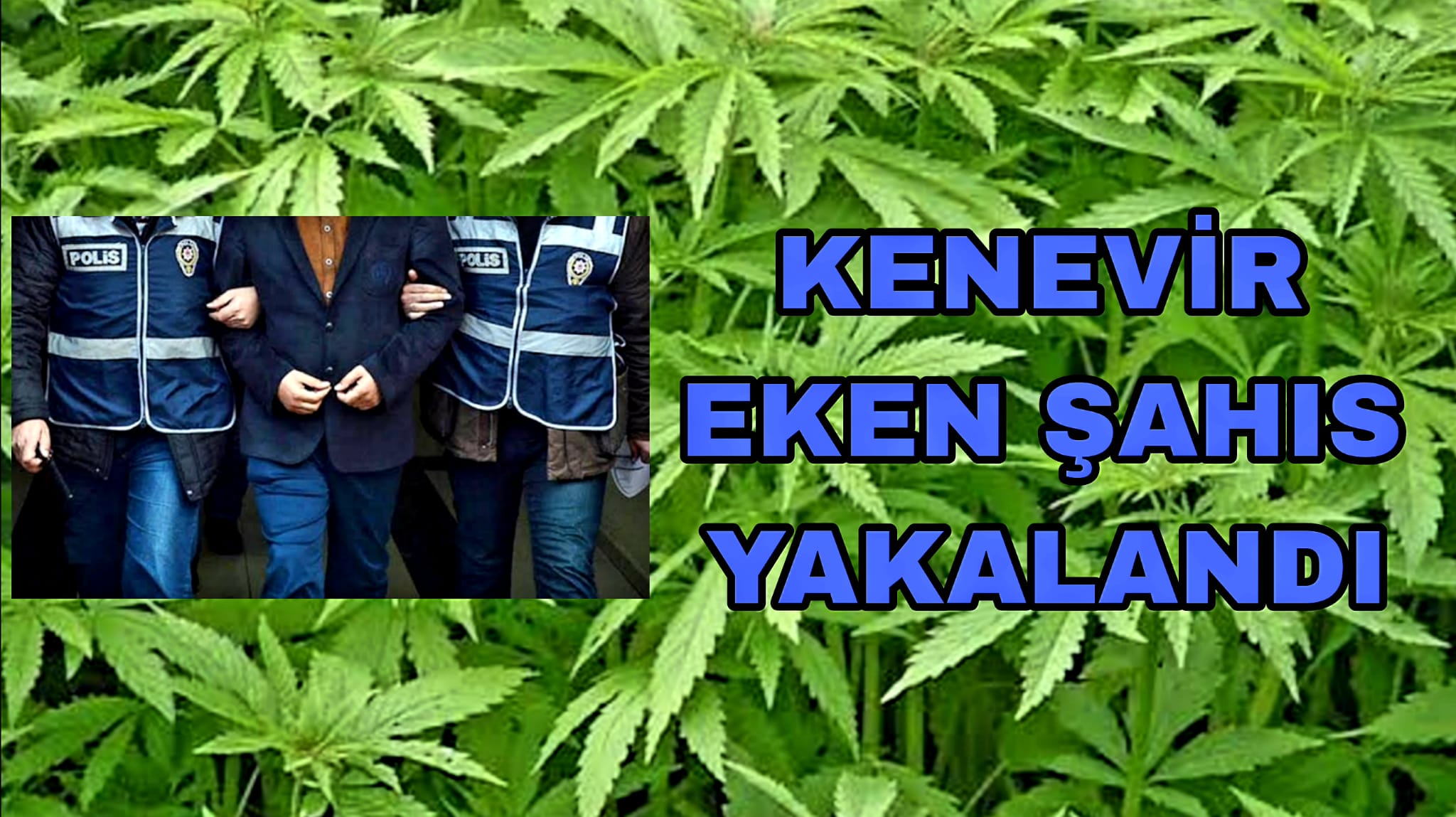 Kenevir Eken Şahıs Gerede'de Yakalandı