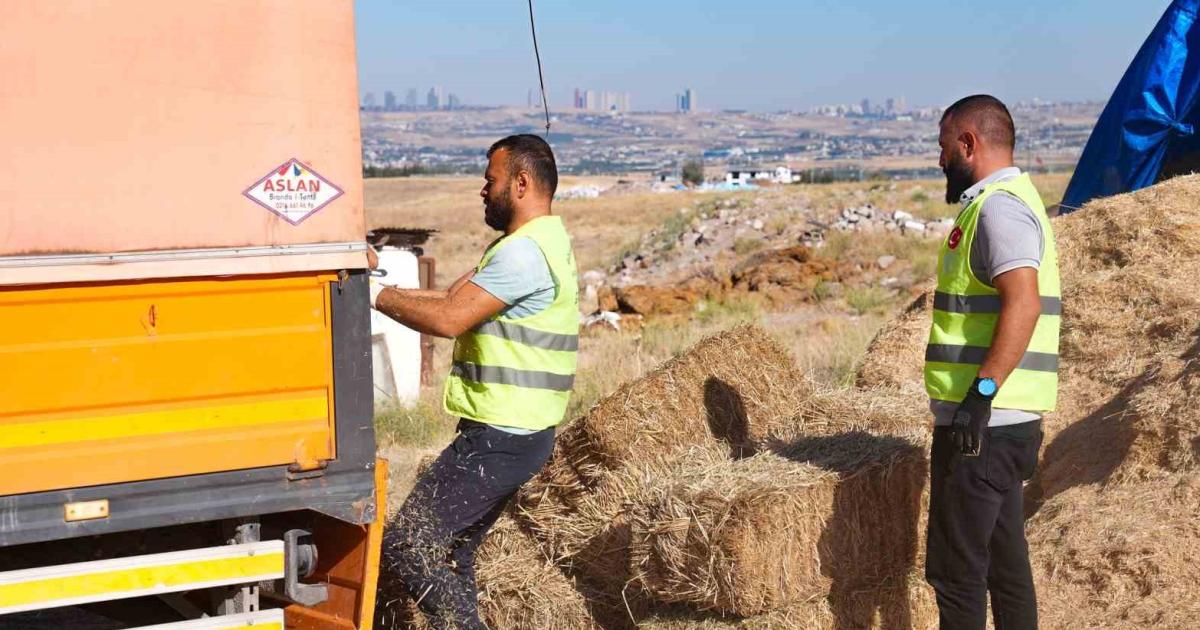 ankara golbasinda ciftcilere saman destegi veriliyor Sk5igAUR.jpg