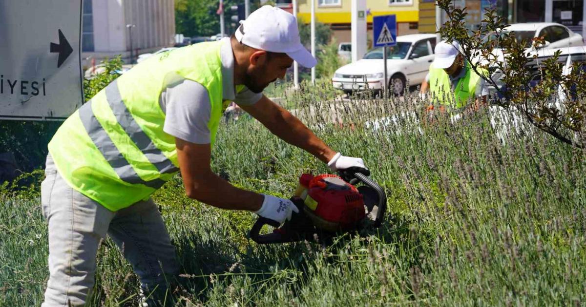 bilecikte bu sene renk vermedi ama gelenek devam etti m53KdKRV.jpg