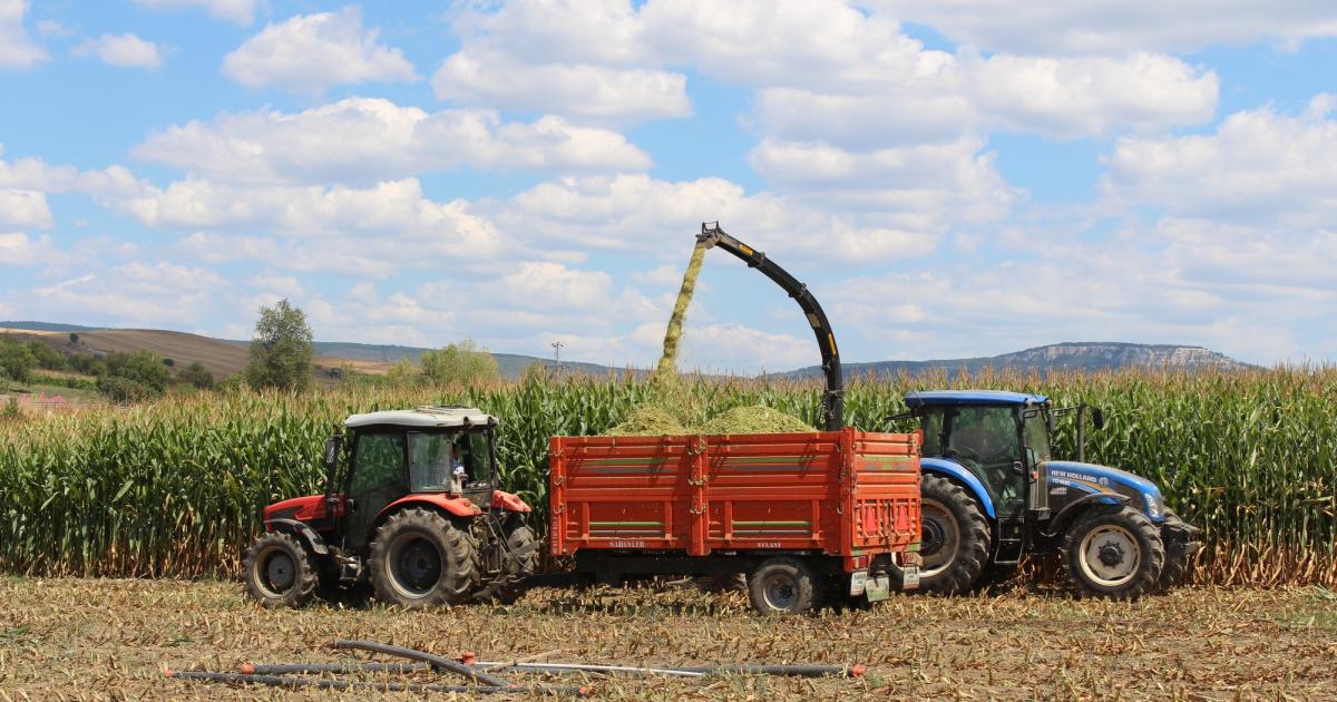 karabukte 1500 dekar alana ekilmisti hasat vakti geldi FlluG8fW.jpg