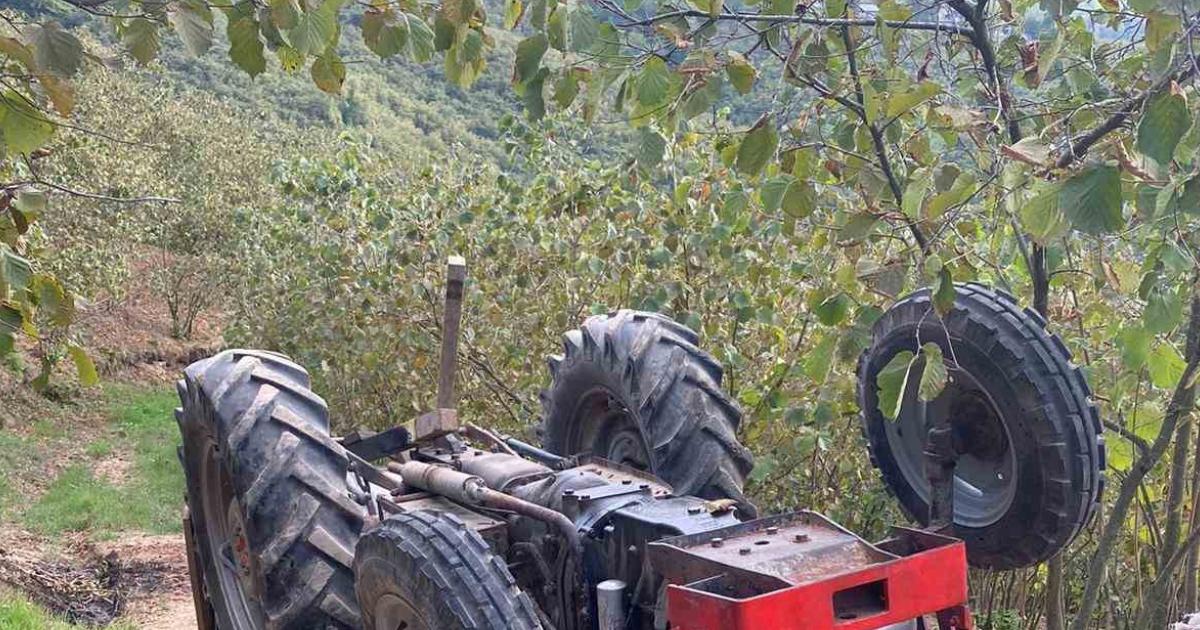 sakaryada findik yuklu traktor devrildi surucu agir yarali NYpudMeQ.jpg