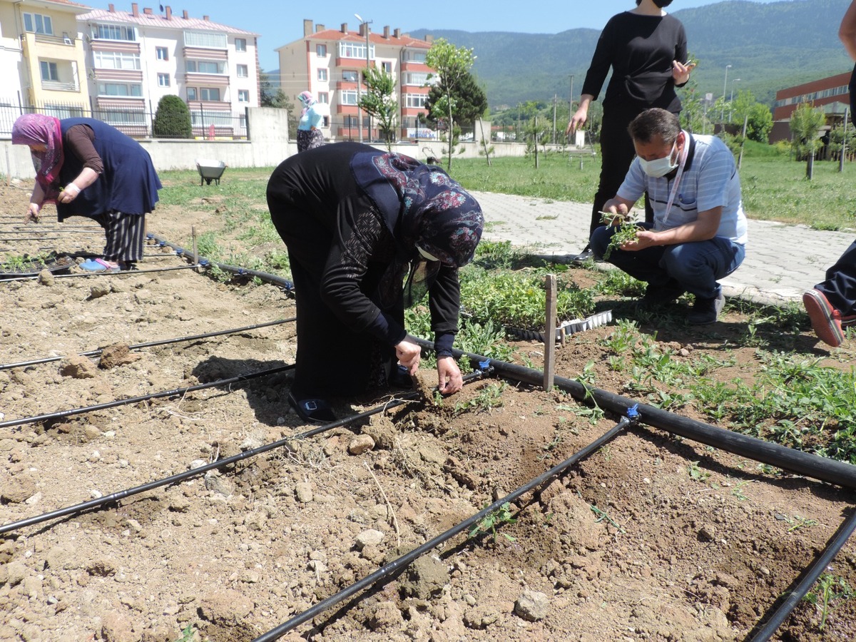 AA 20240917 35664511 35664507 BOLUDA FIZIK TEDAVI HASTALARI HOBI BAHCESINDE TOPRAKLA ILGILENIP STRES ATIYOR 1