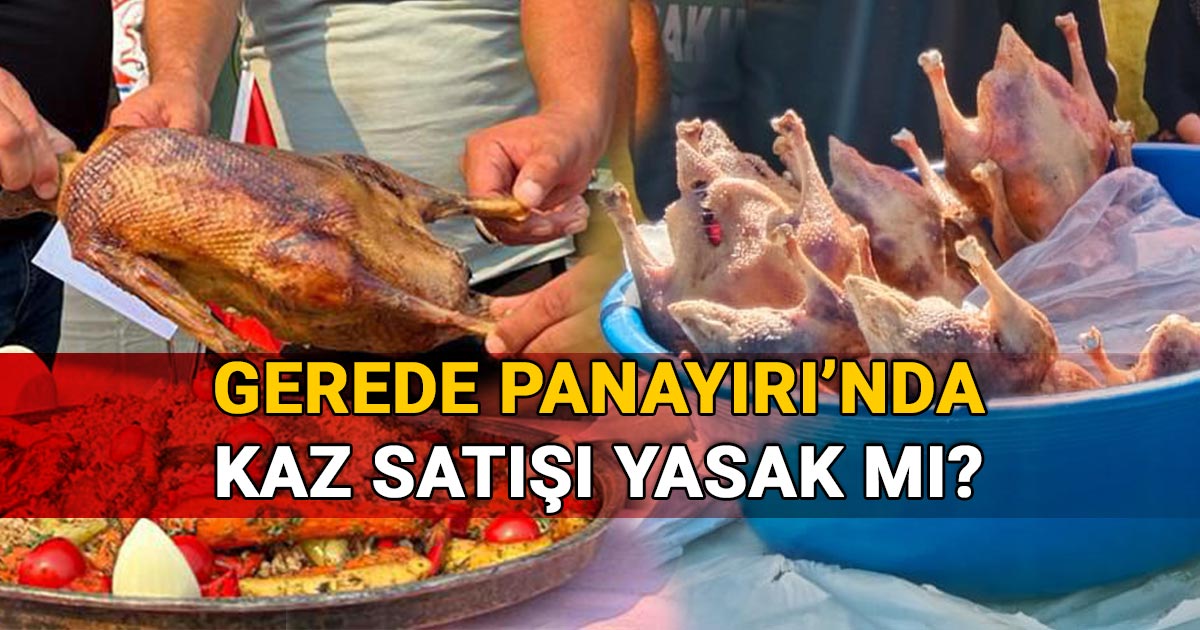 Gerede Panayırı'nda Kaz Yasak Mı Resmen Açıklandı