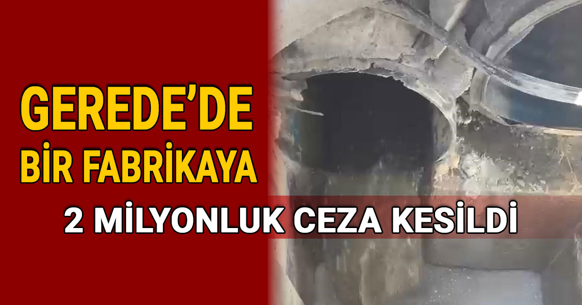 Gerede'de Bir Fabrikaya İki Milyonluk Ceza Kesildi