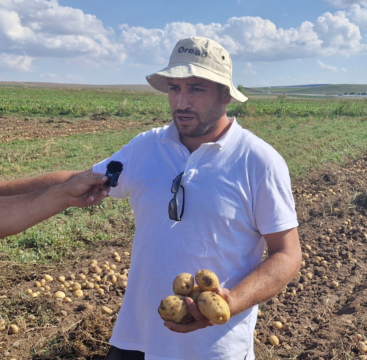 Satamadigi Patatesleri Kizip Ucretsiz Dagitti