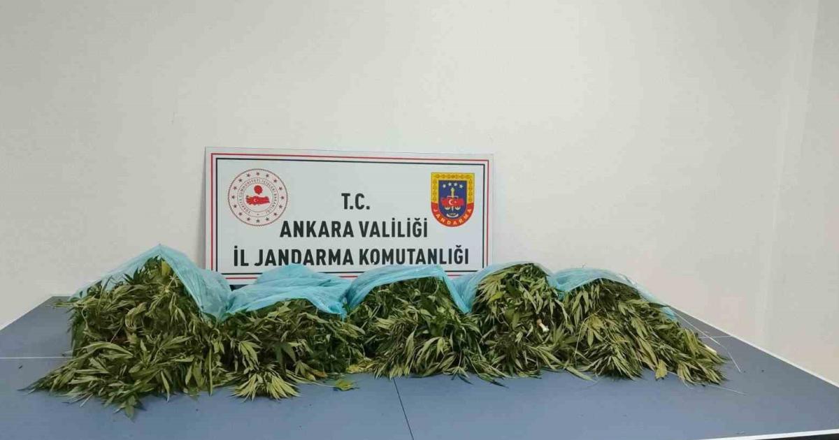 ankaranin camliderede uyusturucu operasyonu 25 kilo ele gecirildi Hi348jtu.jpg