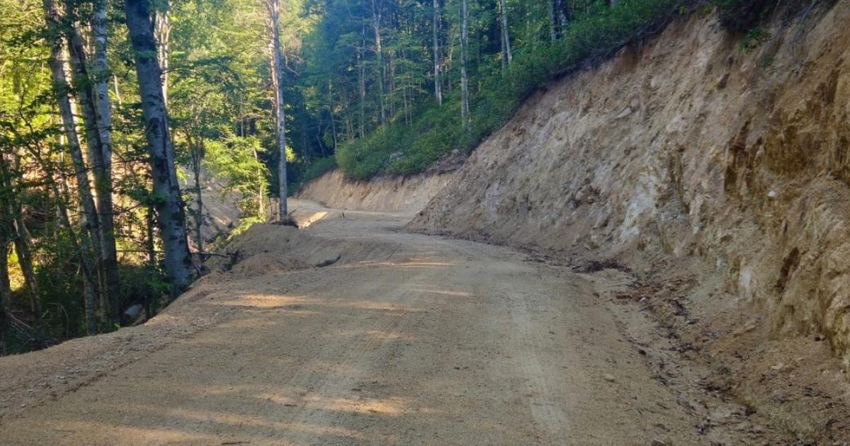 duzcede 10 kilometrelik yeni orman yollari tamamlandi ky4OCVl6.jpg