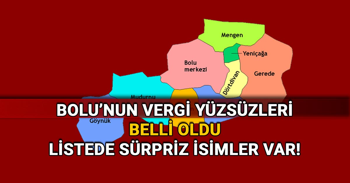 Bolu'nun Vergi Yüzsüzleri Belli Oldu: Listede Sürpriz İsimler Var!