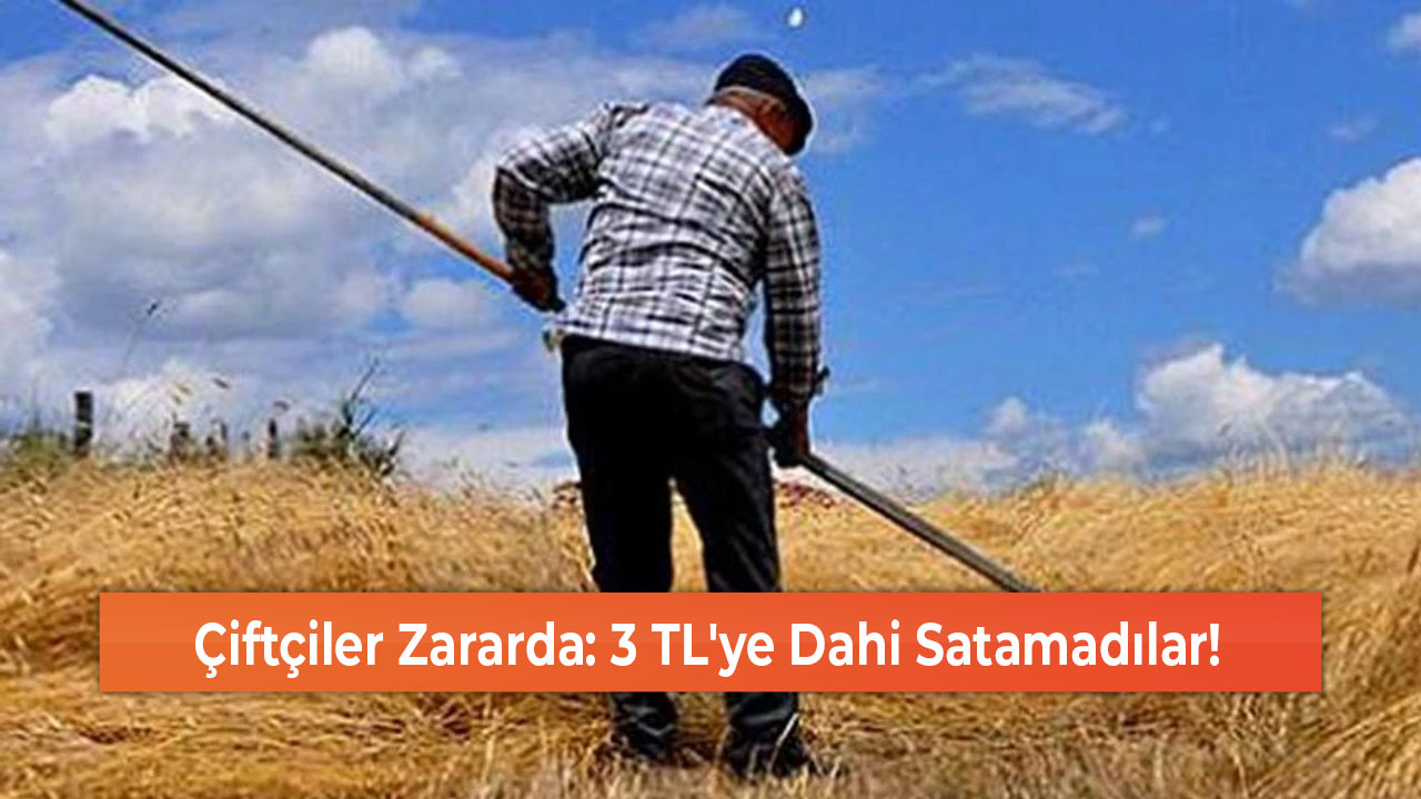 Çiftçiler Zararda 3 TL'ye Dahi Satamadılar