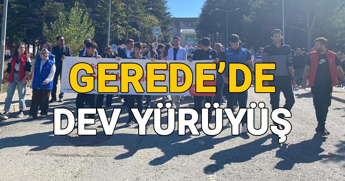 Gerede'de dev yürüyüş