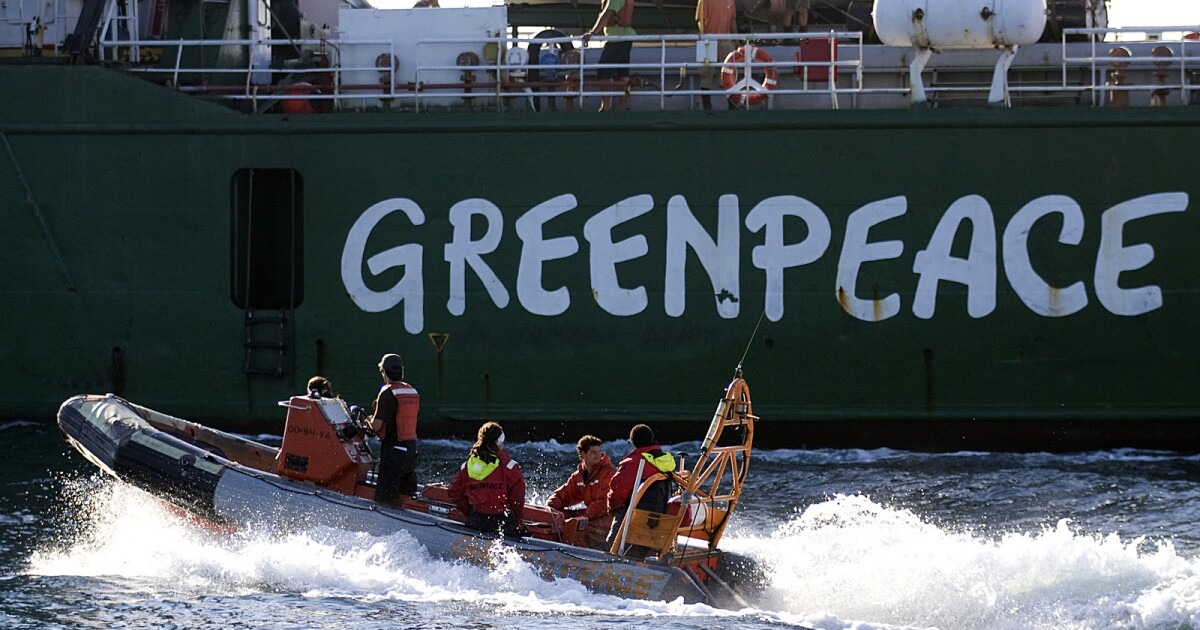 Greenpeace Nedir2