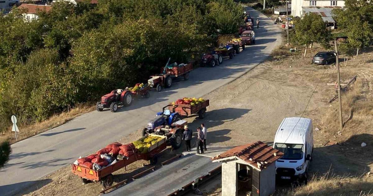 bilecikte ceviz hasadi sevinci yuksek verim ve yogun talep nTZfZLE1.jpg