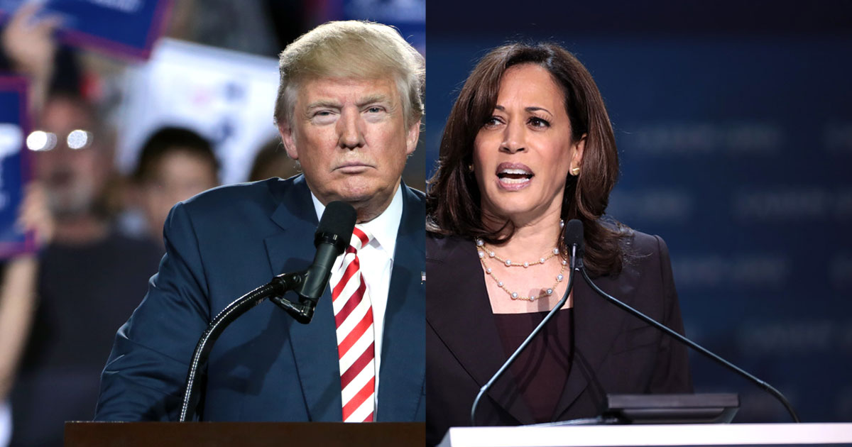 2024 ABD Başkanlık Seçimi Sonuçları Ne Zaman Açıklanacak? İşte Merak Edilenler - Donald Trump ve Kamala Harris