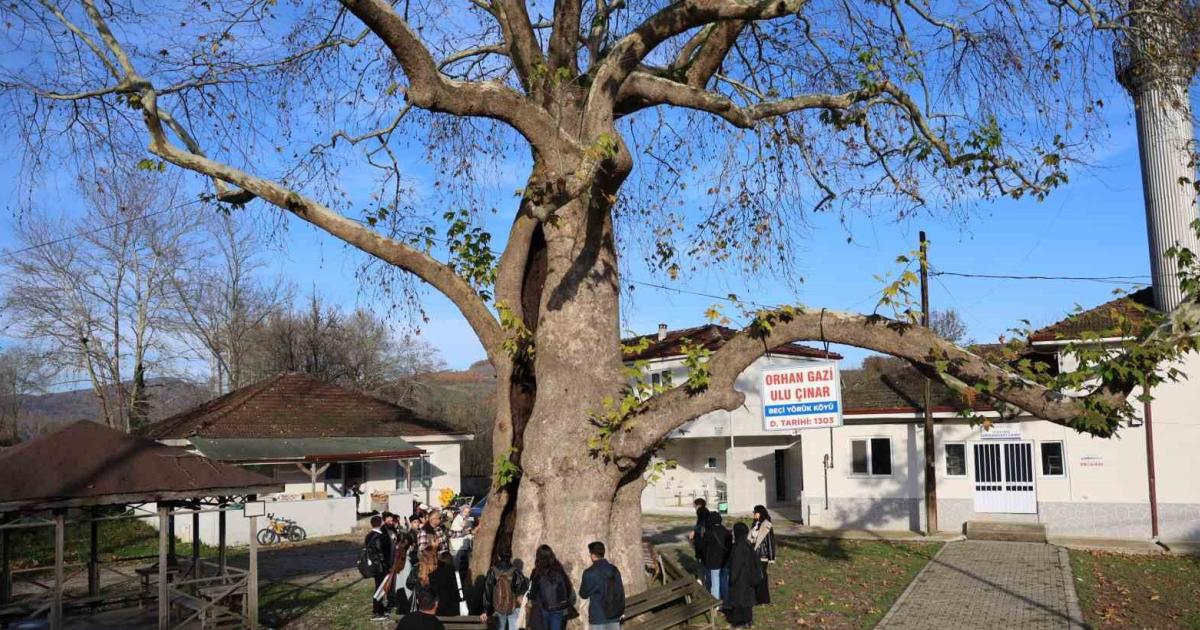 700 yillik cinarin izinde duzce universitesinden anlamli gezi ZRml2qK8.jpg