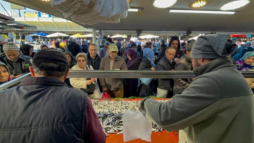 Bolu'da Balık İzdihamı