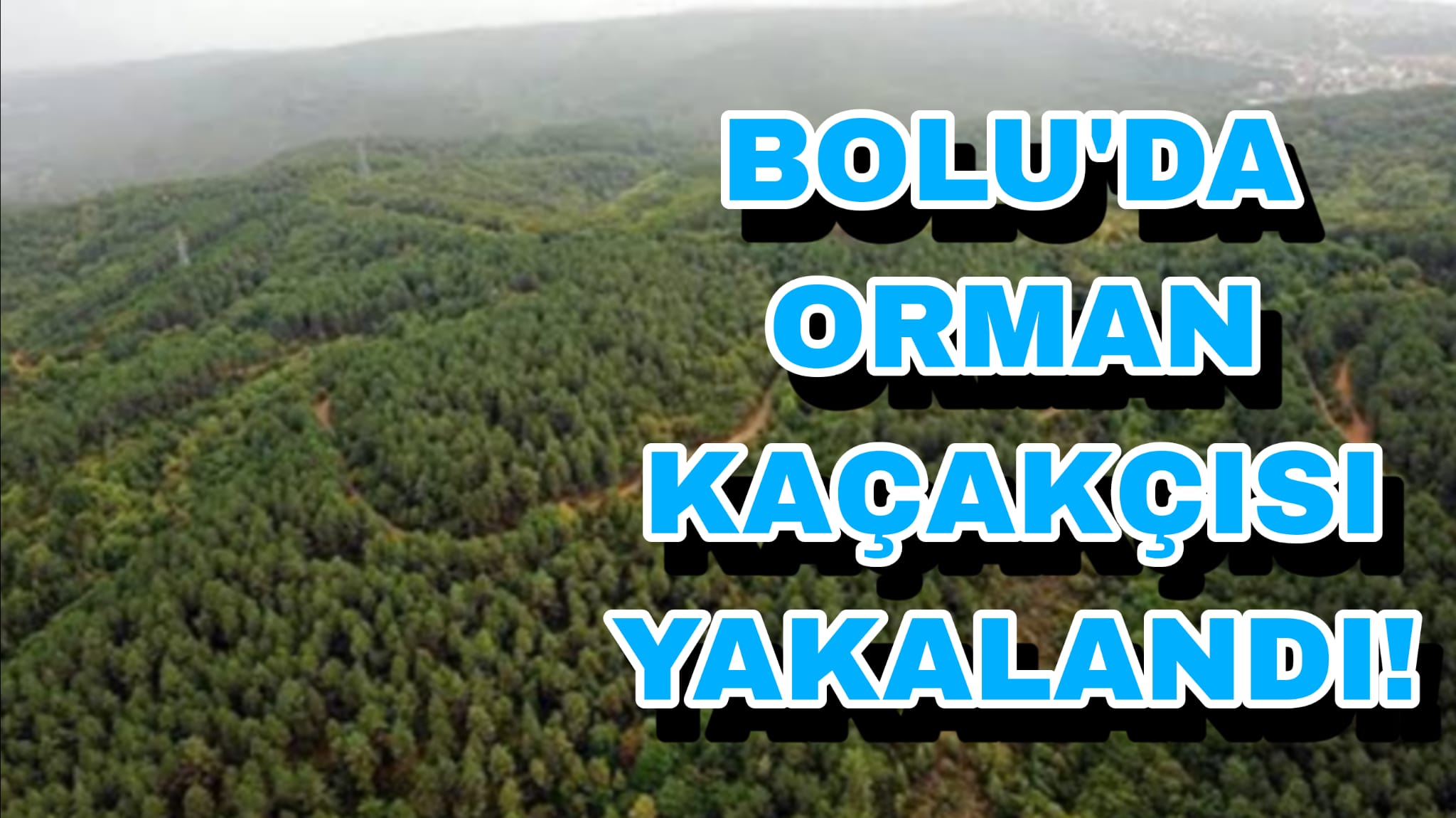 Bolu'da Orman Kaçakçısı Yakalandı