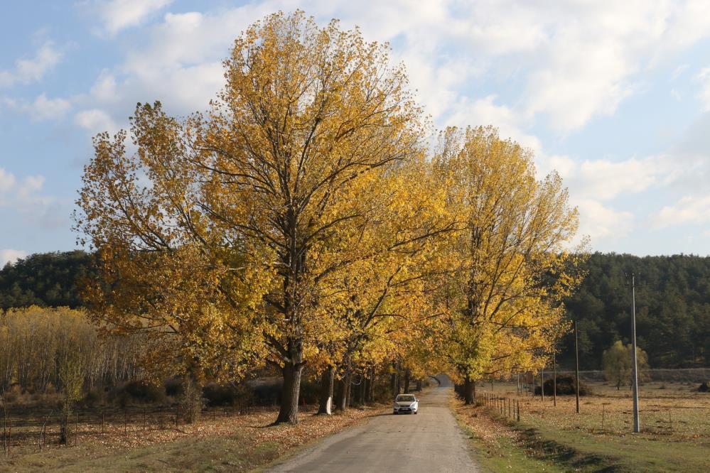 Bolu'da Yeni Evlenen Çiftlerin Uğrak Noktası 2