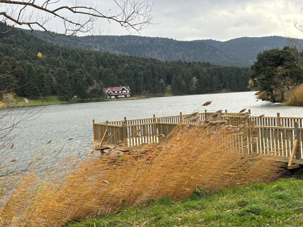 Bolu'da kuvvetli rüzgar etkili oluyor