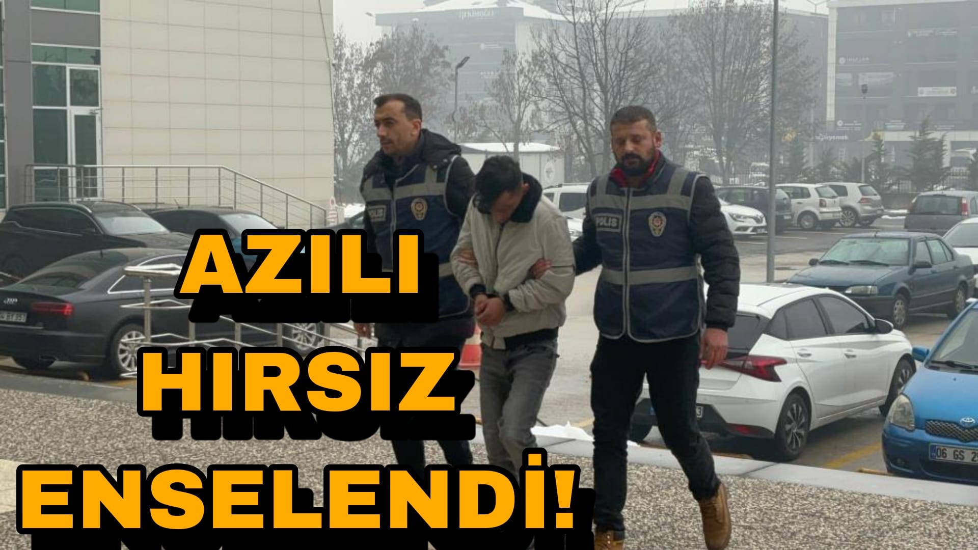 Bolu'nun Azılı Hırsızı