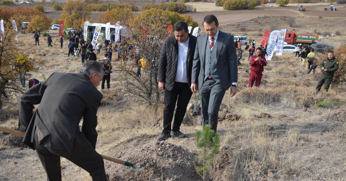 ankara kahramankazanda 500 fidan toprakla bulustu vjjQPEkN.jpg