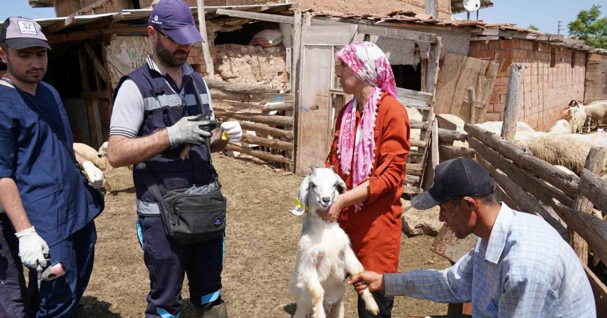 cankirida asi uyarisi yapildi zarara ugratabilir MDVYpDXd.jpg