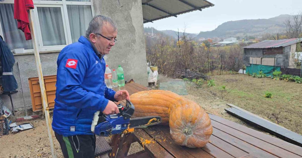 karabukte 40 kiloluk dev kabak hayranlik uyandirdi ABD13TvH.jpg