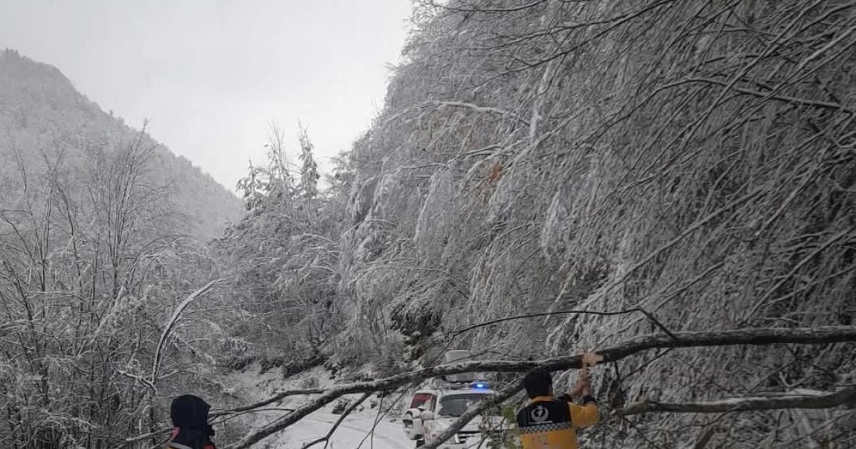 kastamonuda paletli ambulansla koah hastasina acil yardim y9mpXek7.jpg