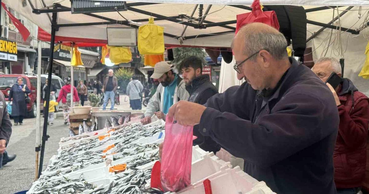 zonguldakta hamsi zamani geldi fiyatlari belli oldu reOqm1uH.jpg