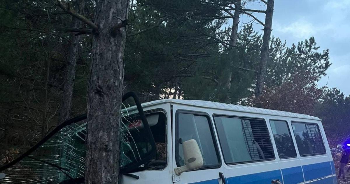 bilecikte yolcu minibusu agaca carpti 5 kisi yaralandi pqHHwz9B.jpg