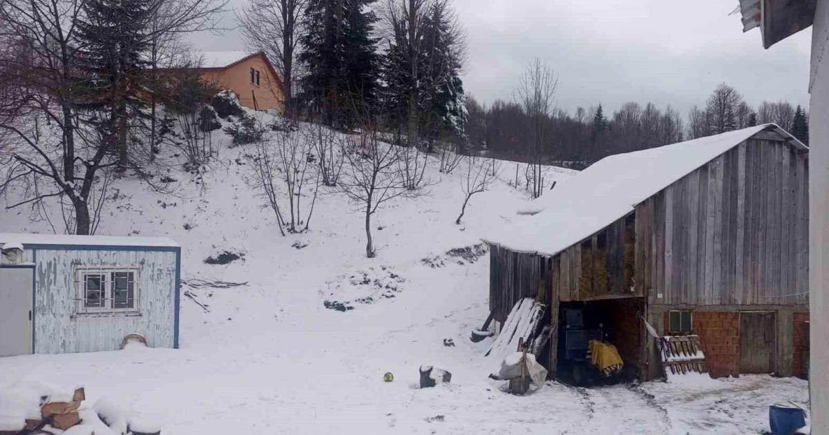 sakarya hendekte kar yagisi etkisini gosterdi YdnqHcCh.jpg