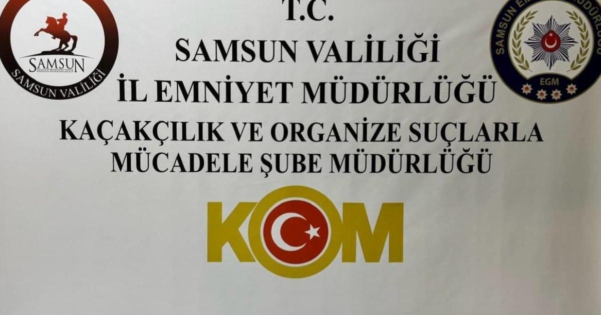 samsunda sahte plaka operasyonu iki gozalti x154lIgI.jpg