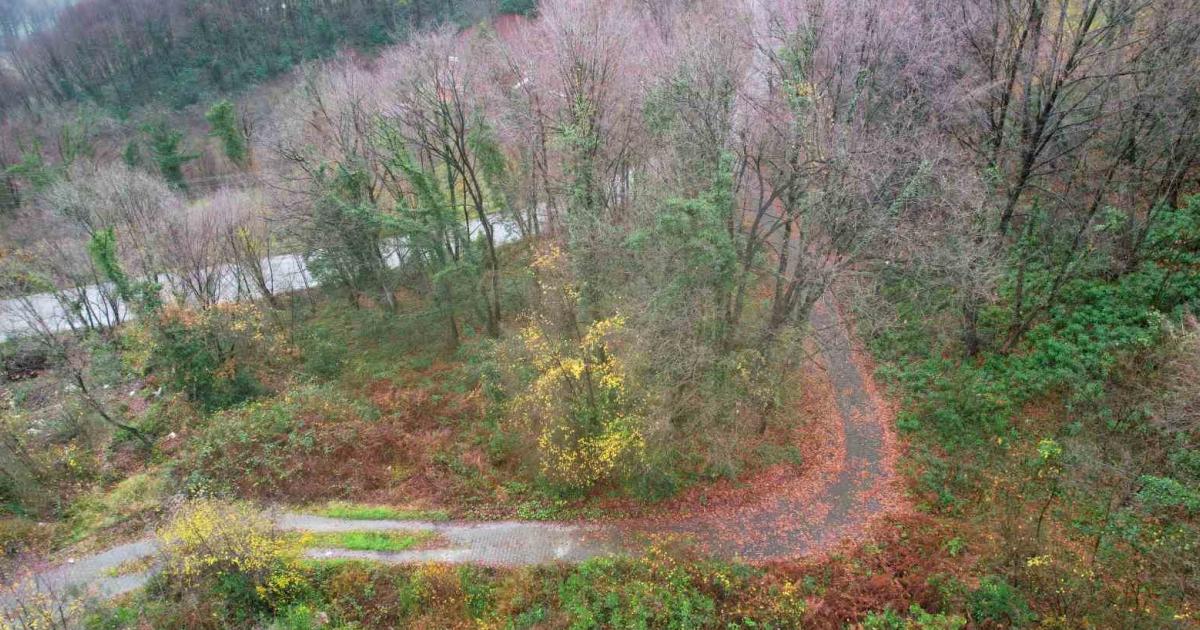 zonguldak ormanlarinda sonbahar bir baska guzel tie4eVwt.jpg