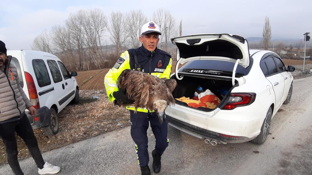 1 Ölmek üzere olan yaralı akbabanın yardımına jandarma yetişti