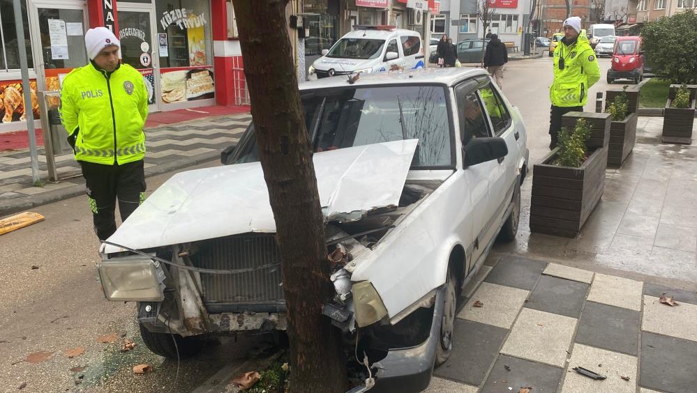 Köpeğe çarpmamak için ağaca çarptı