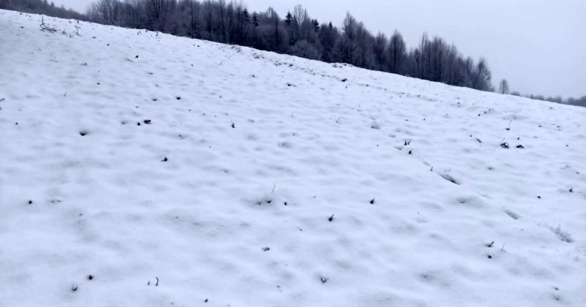 sakaryanin yuksek kesimleri beyaza burunuyor StbDzK42.jpg