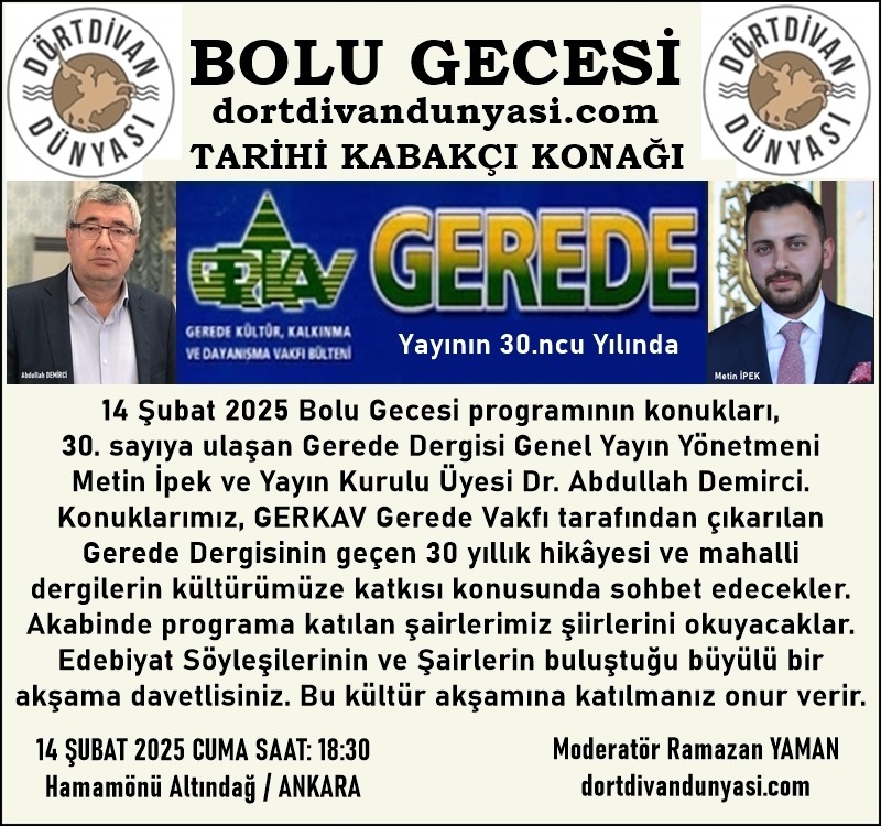 Bolu Gecesi 1