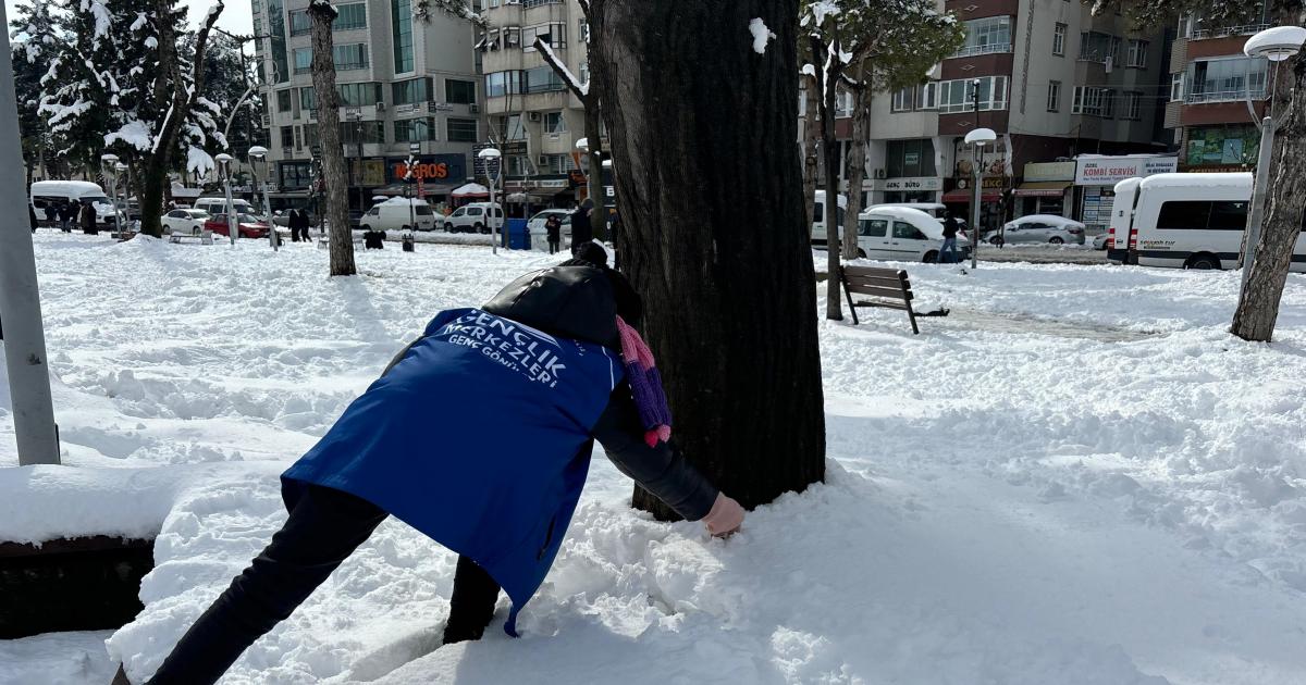 samsun bafrada kuslar icin yem birakildi XiSSvszw.jpg